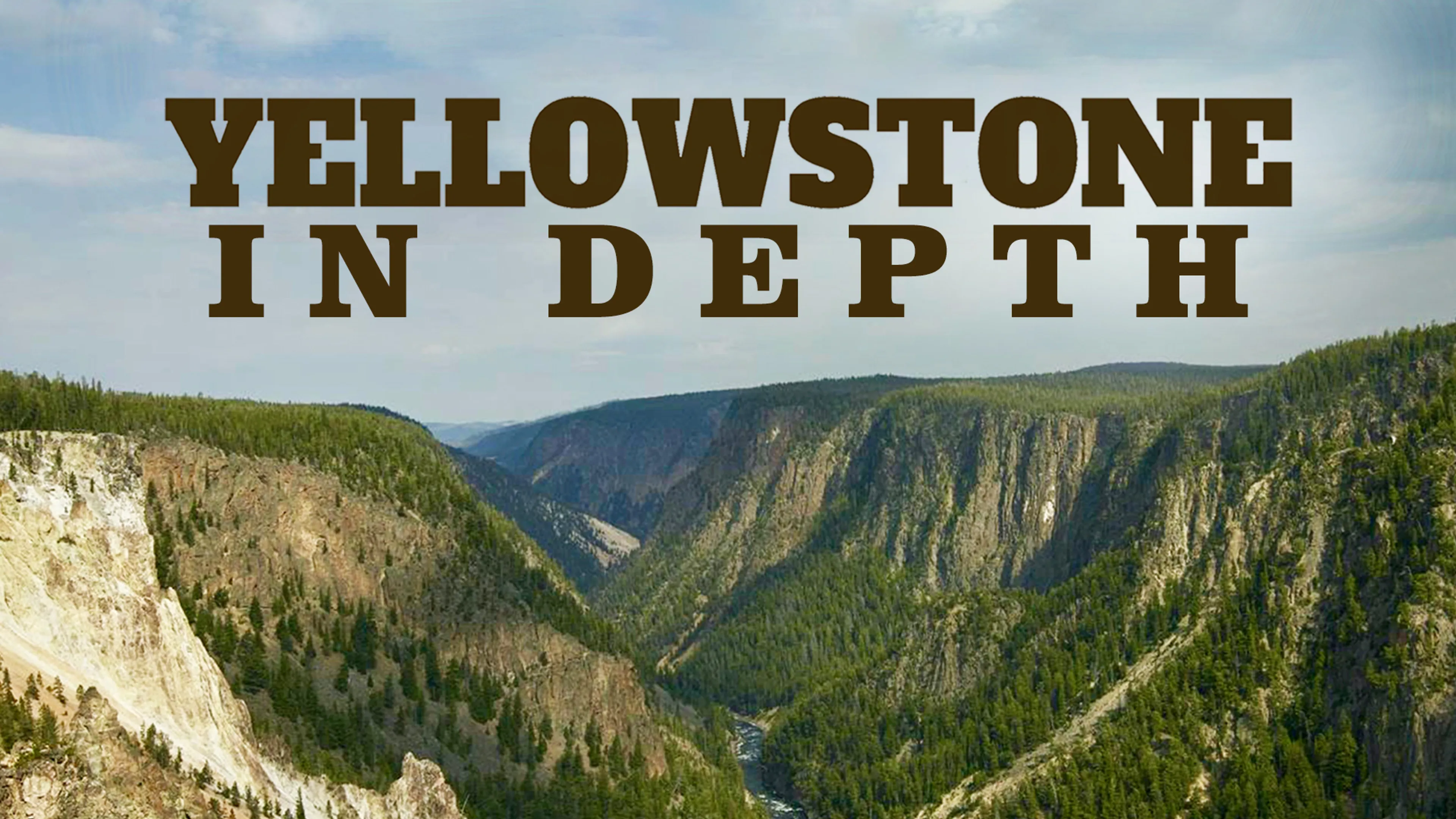 Yellowstone In Depth poster